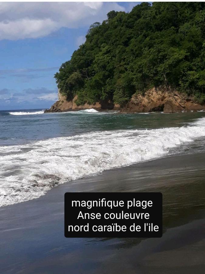 Apartamento A la montagne Le Morne-Vert Exterior foto